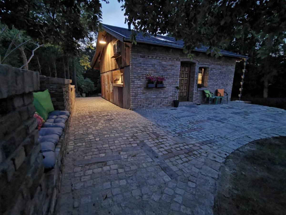 Domagala Caloroczny Apartment
